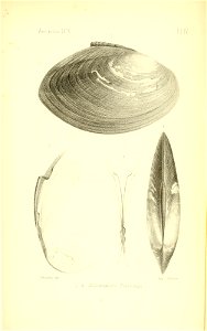 n112_w1150