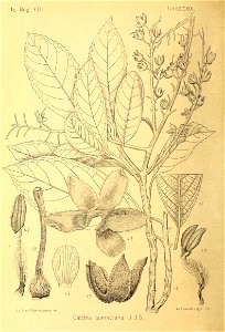 n123_w1150