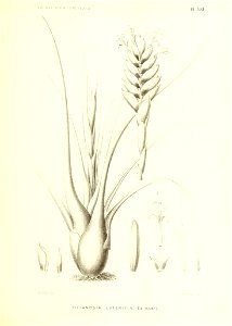 n180_w1150