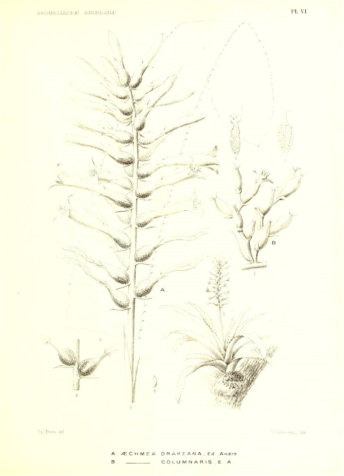n150_w1150