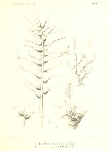 n150_w1150