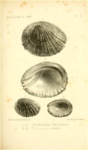 n298_w1150