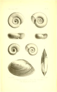 n110_w1150