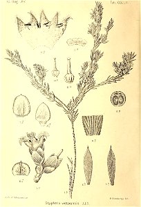 n305_w1150