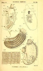 n434_w1150