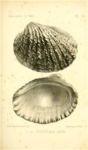 n296_w1150