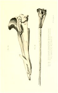 n34_w1150