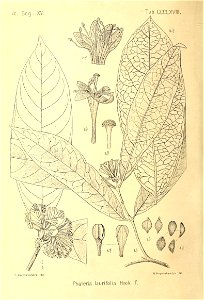 n383_w1150