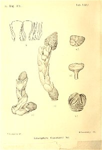 n301_w1150