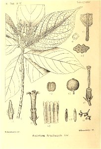 n209_w1150