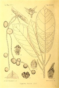 n111_w1150