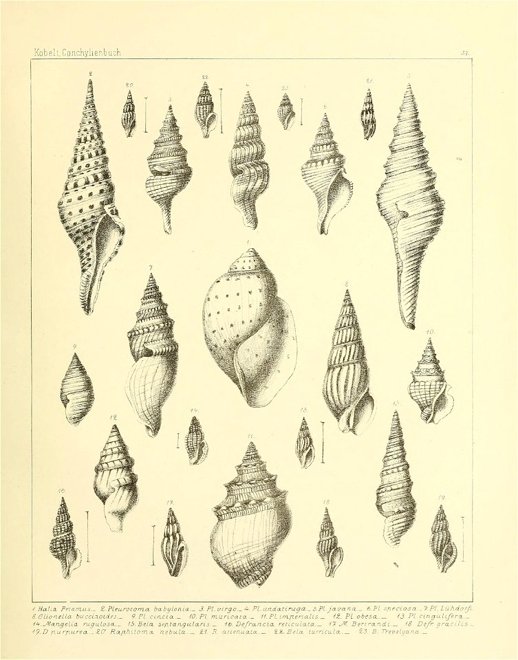 n238_w1150