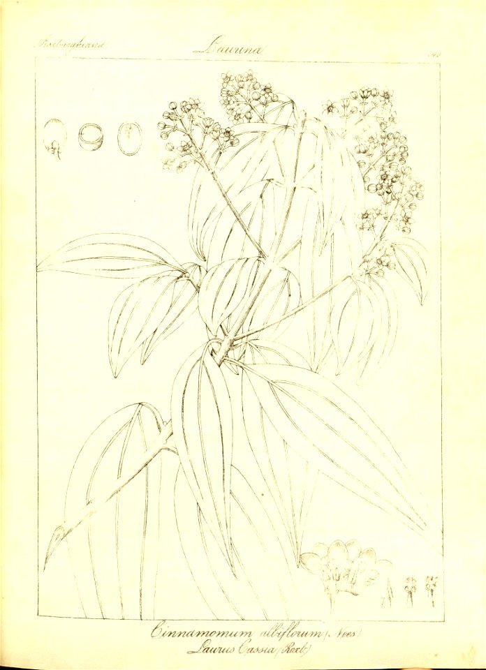 n172_w1150