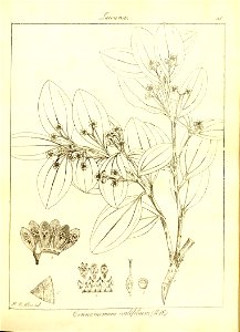 n157_w1150