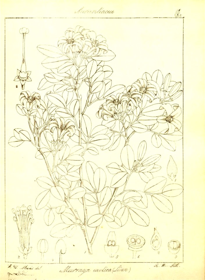 n127_w1150