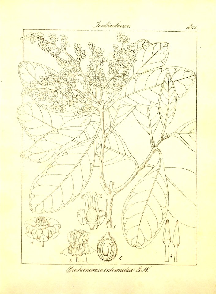 n112_w1150