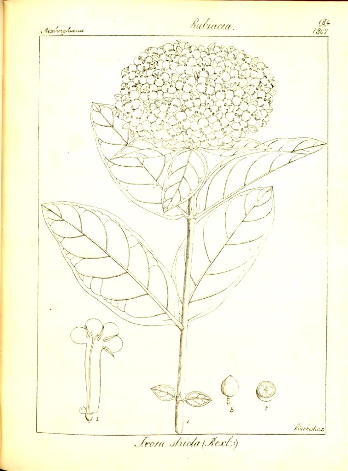 n216_w1150