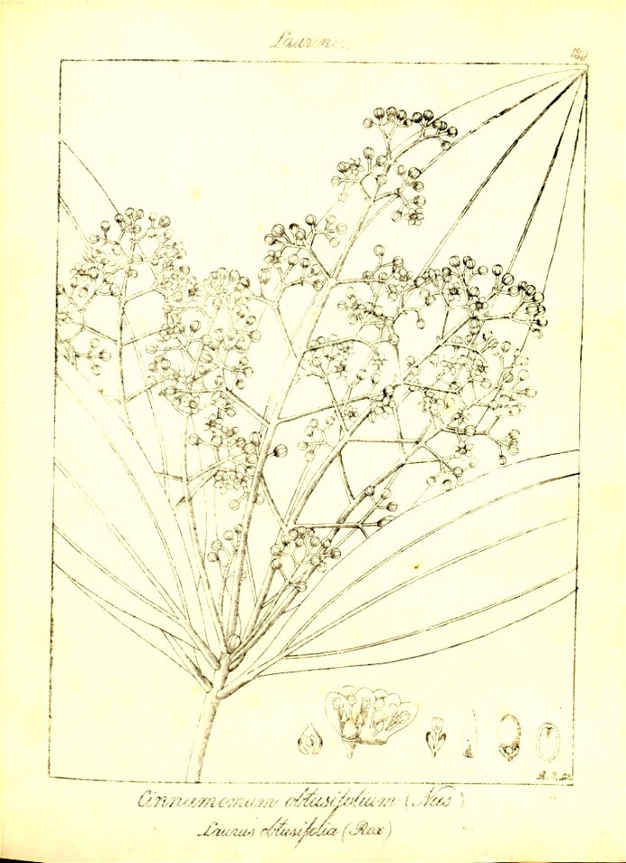n171_w1150