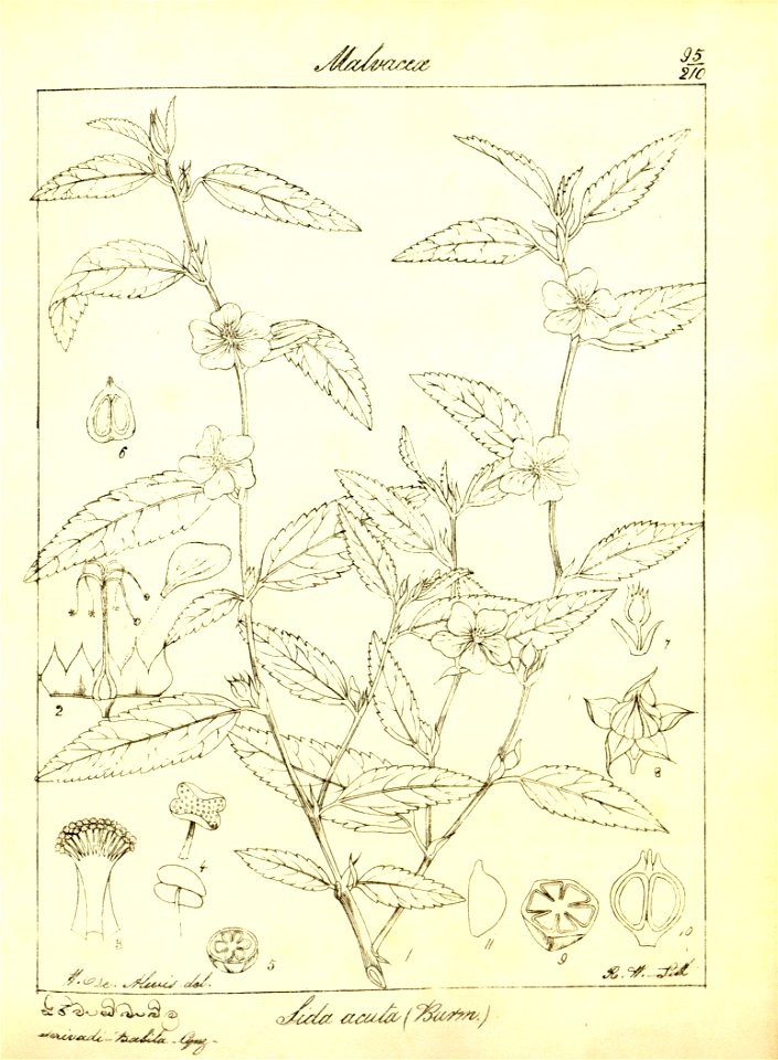 n126_w1150