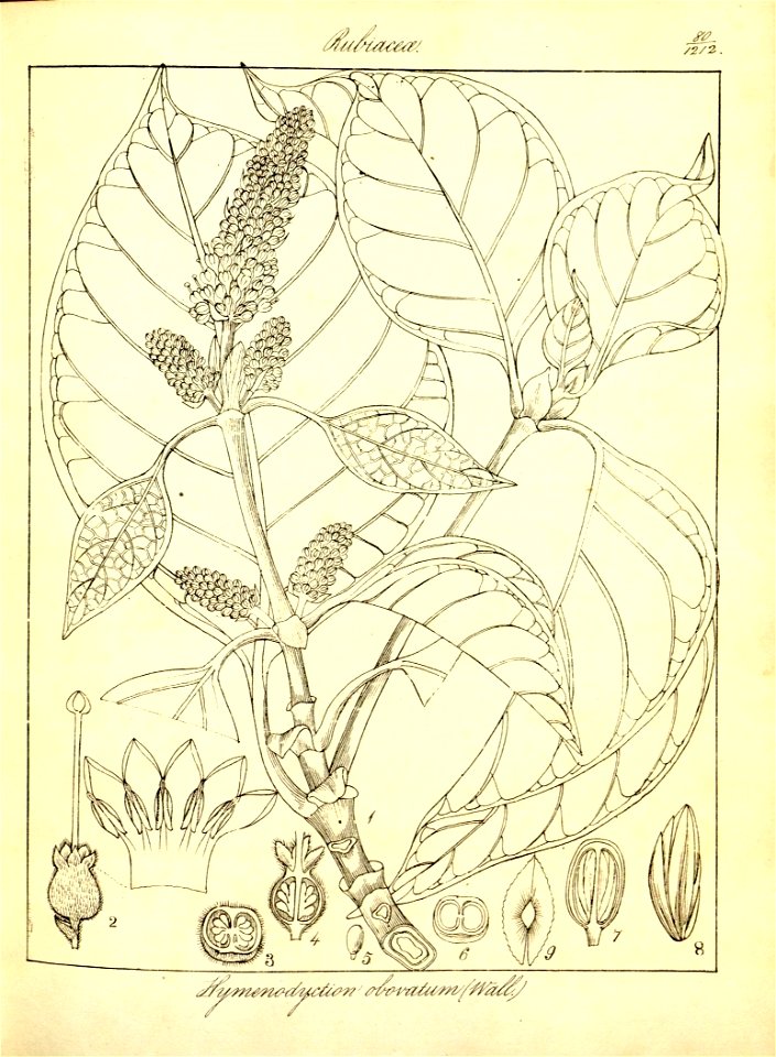 n111_w1150