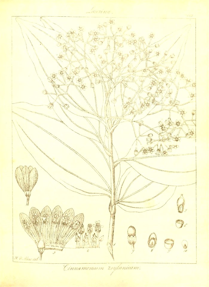 n155_w1150