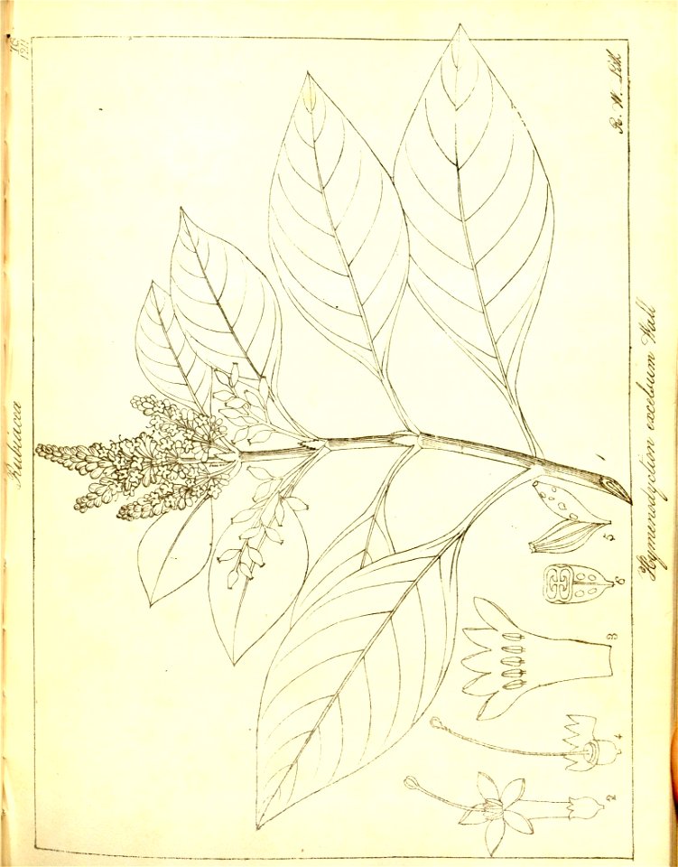 n110_w1150