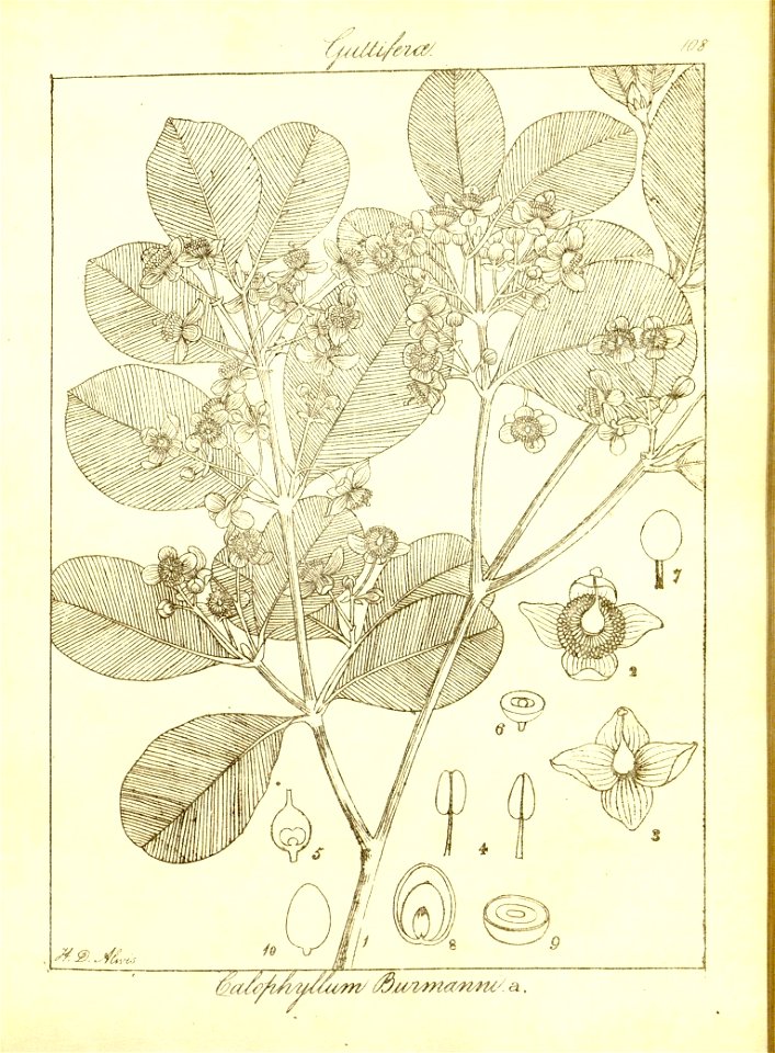 n139_w1150