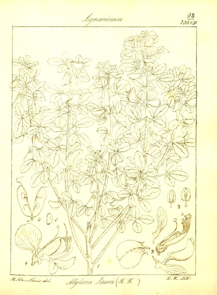 n124_w1150