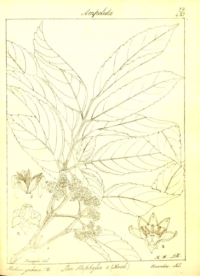 n109_w1150