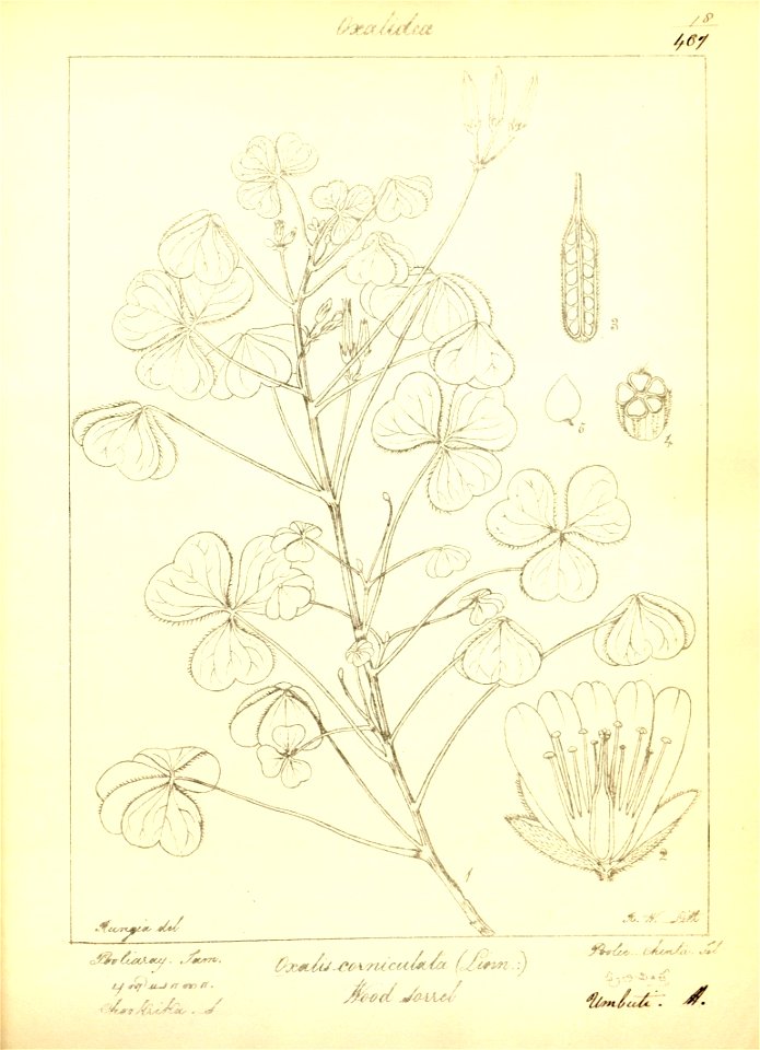 n49_w1150