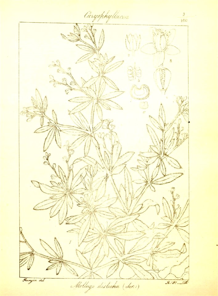 n34_w1150