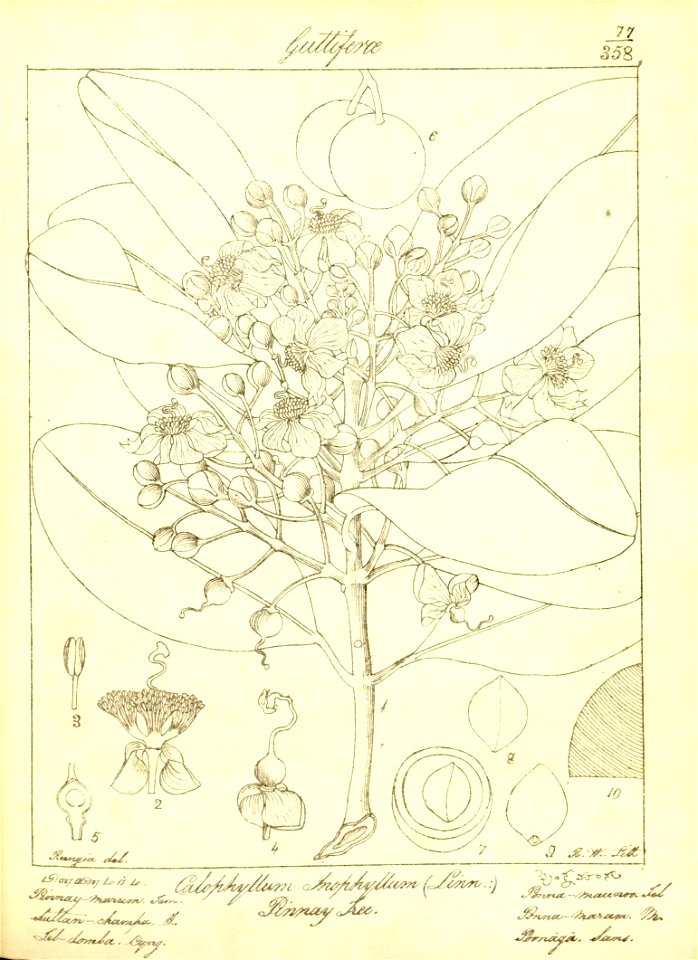 n108_w1150