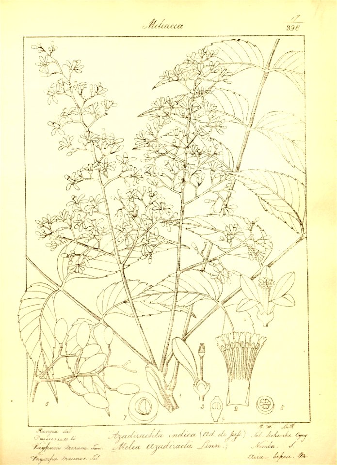 n48_w1150