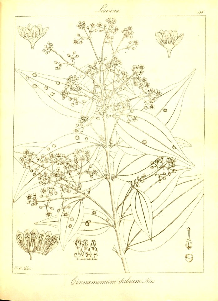 n167_w1150