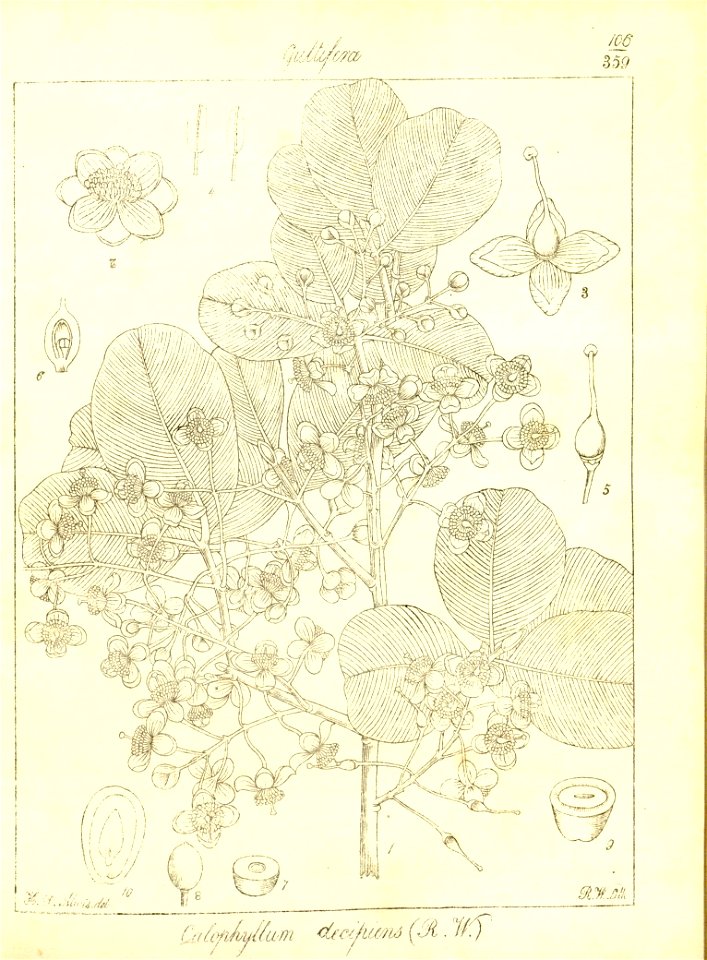 n137_w1150