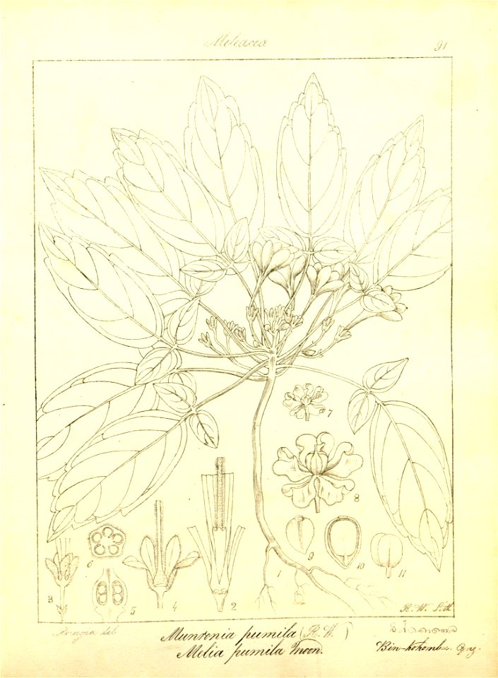 n122_w1150