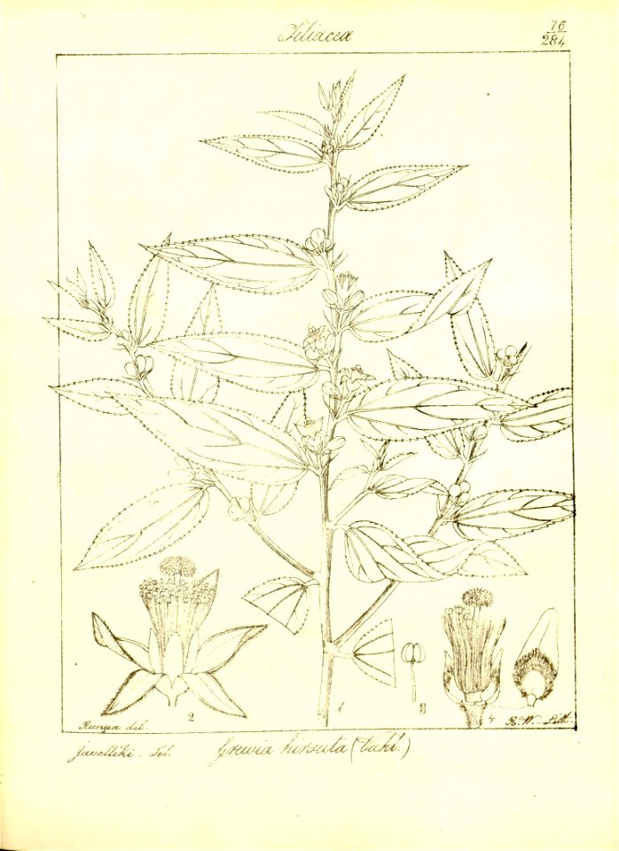 n107_w1150
