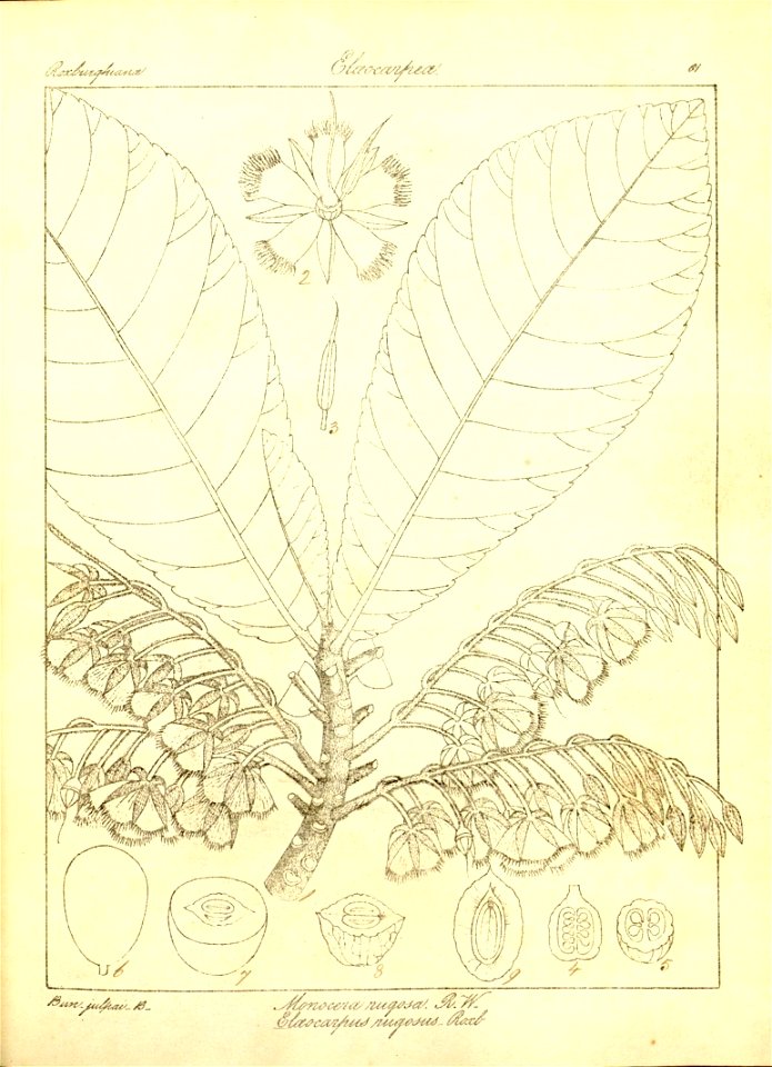 n92_w1150