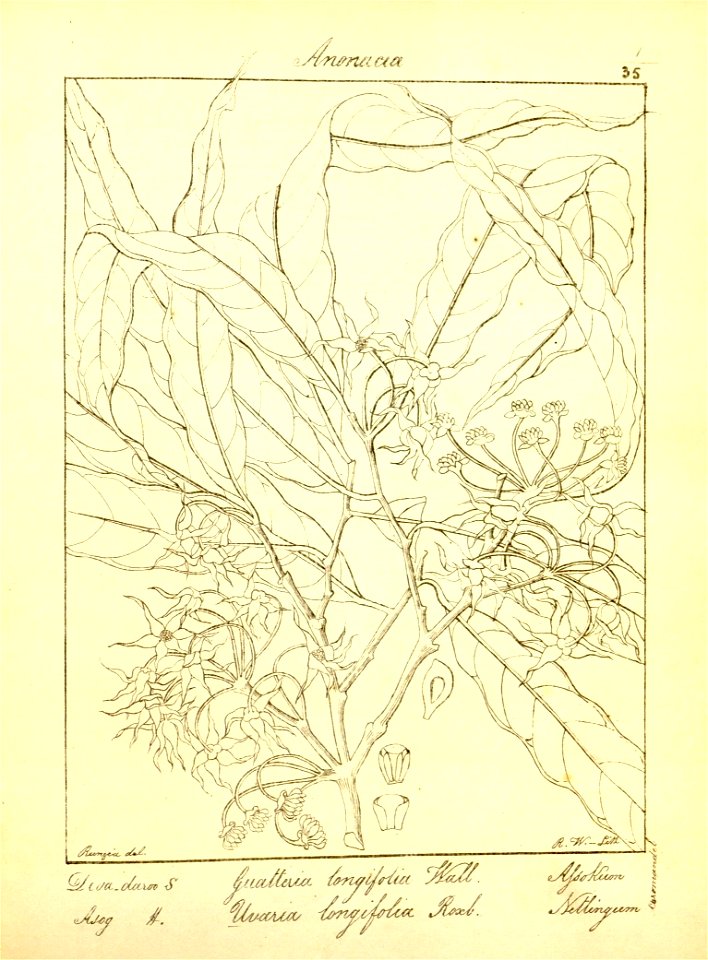 n32_w1150