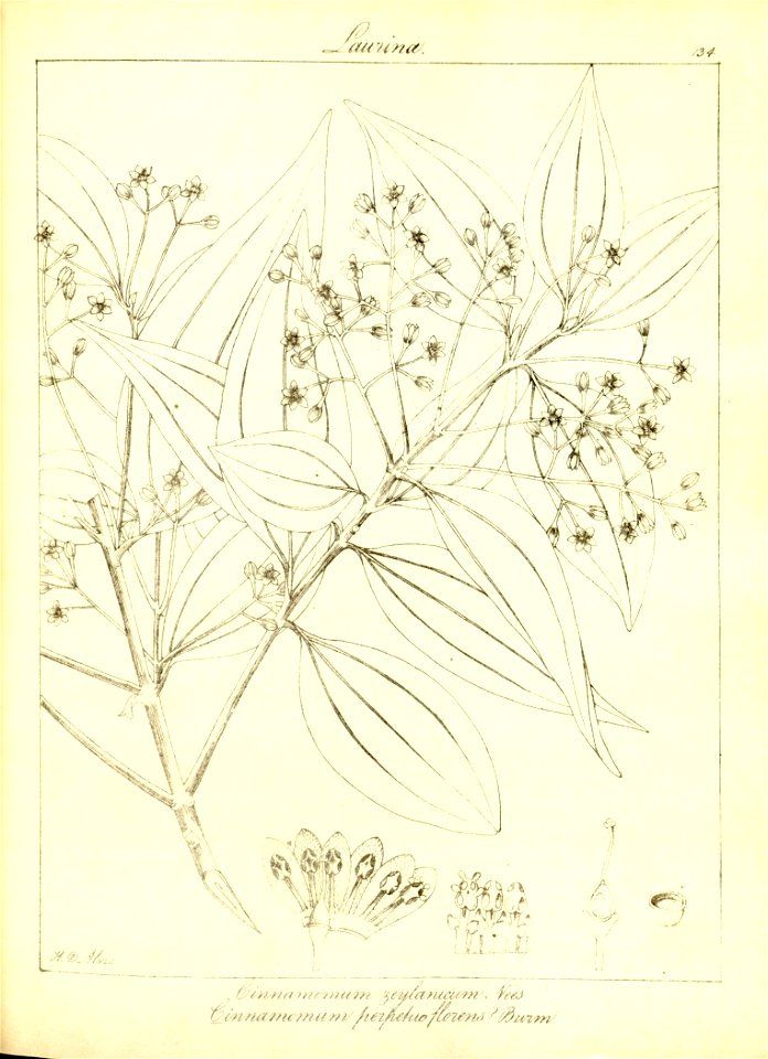 n166_w1150