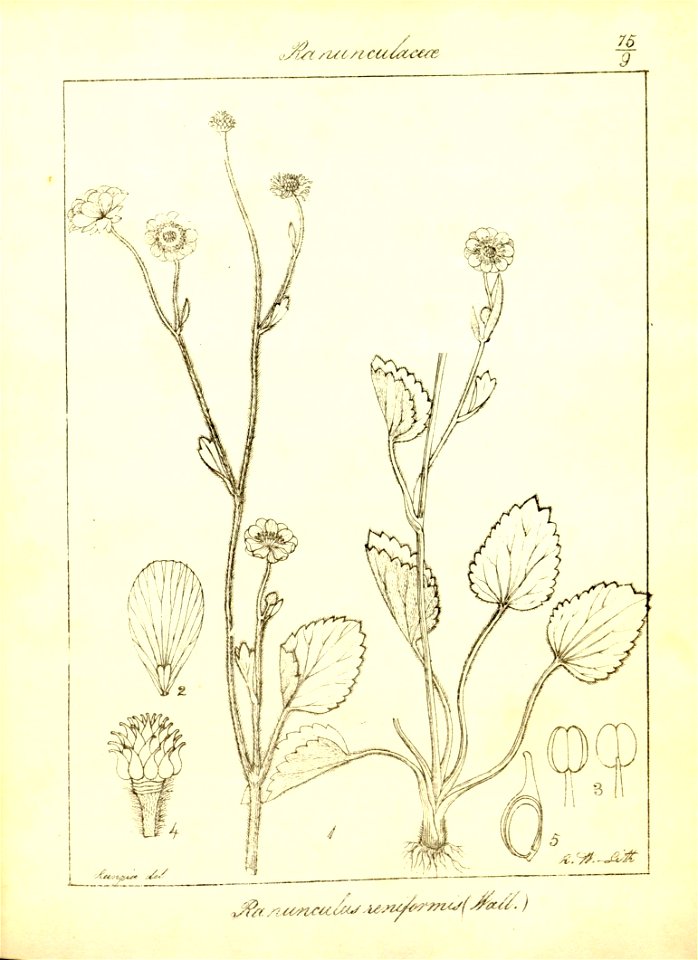 n106_w1150