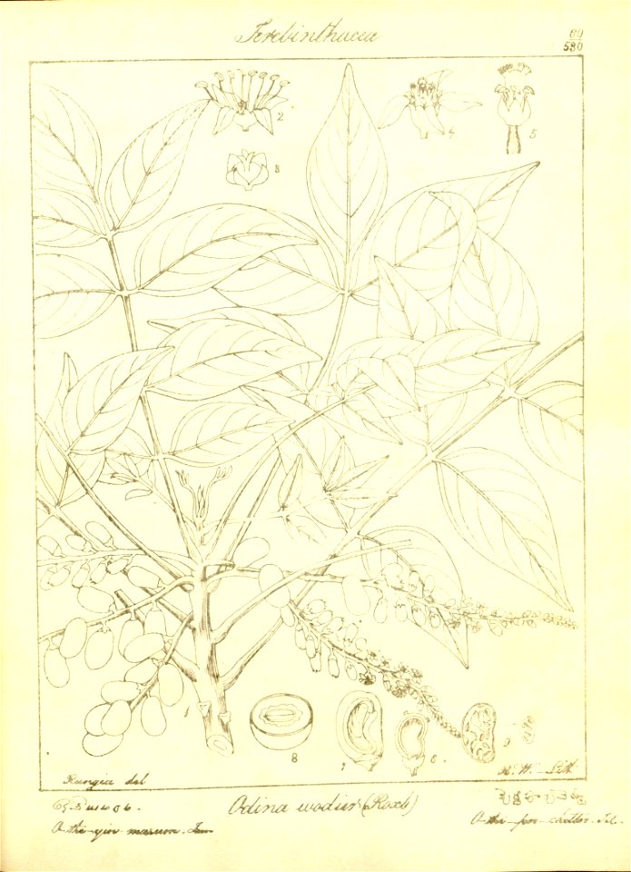 n91_w1150