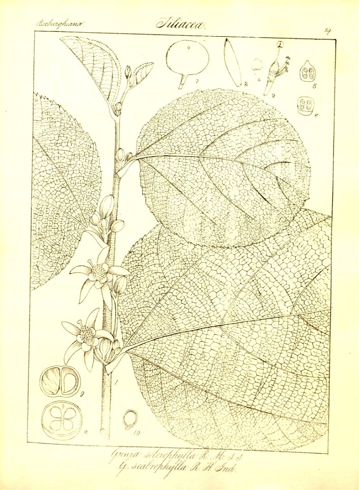 n120_w1150