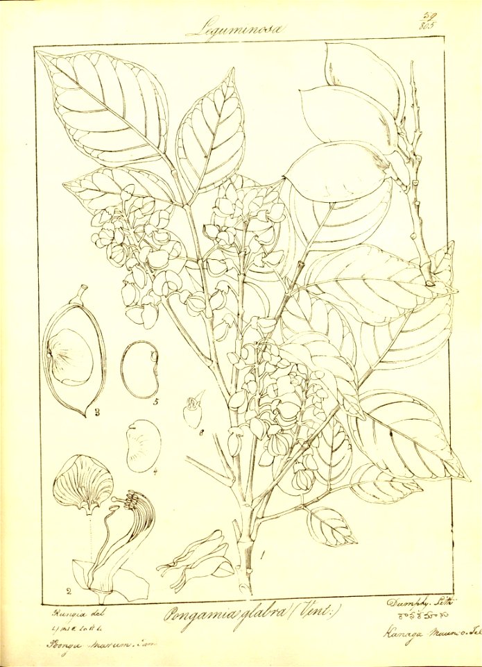 n90_w1150