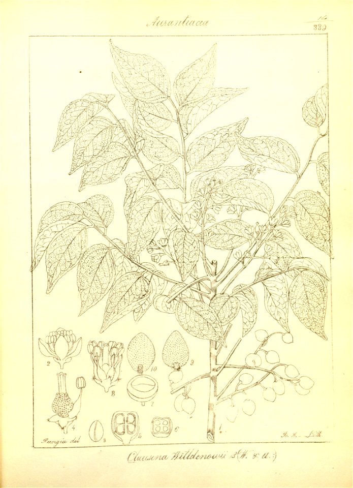 n45_w1150