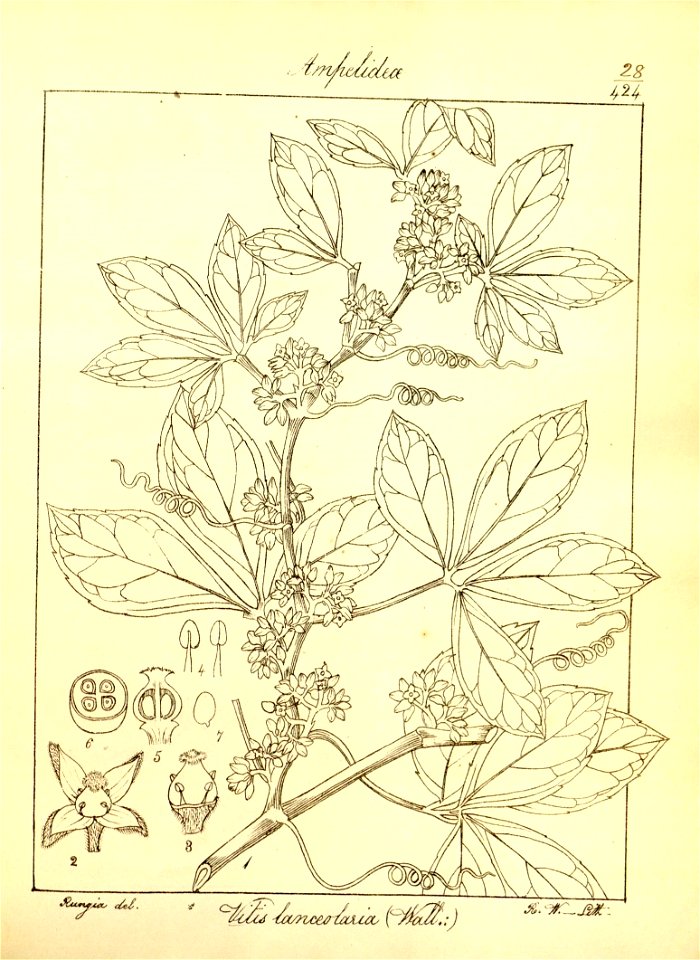 n59_w1150