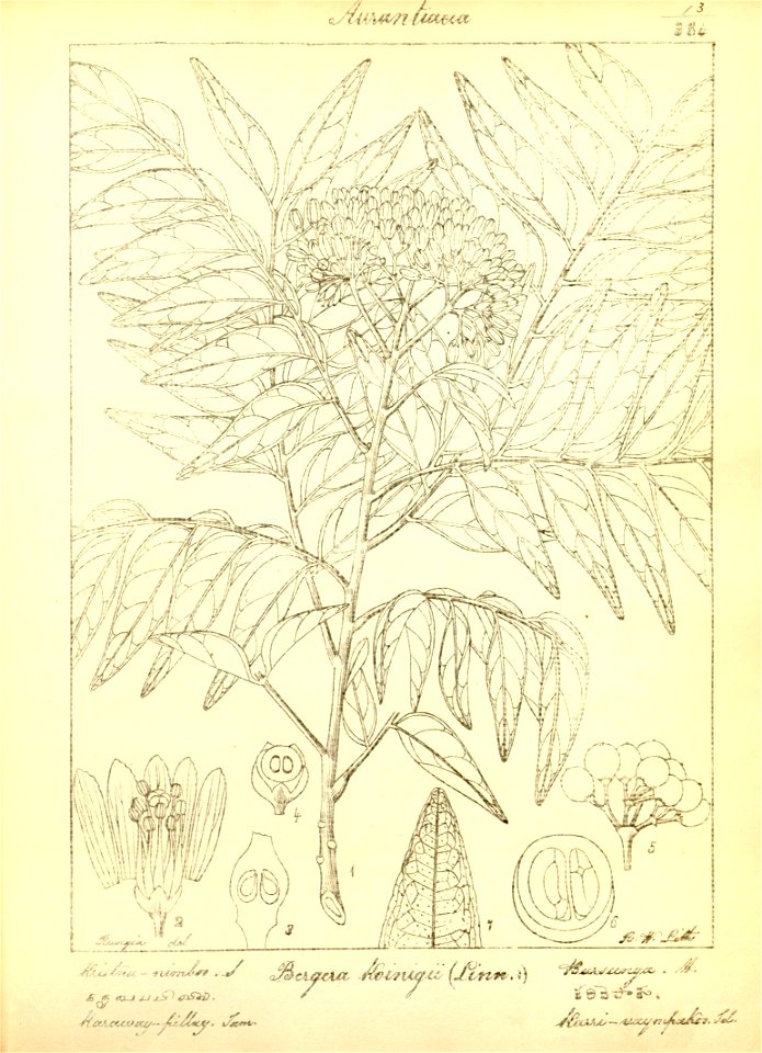 n44_w1150