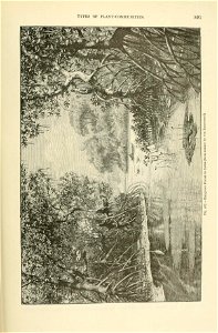 n944_w1150