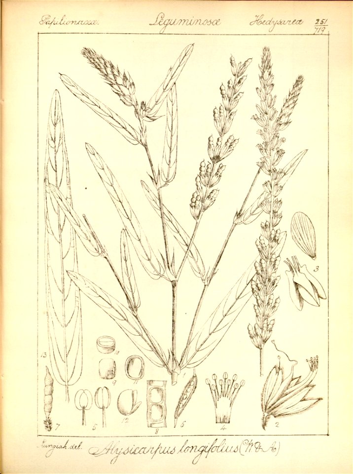 n283_w1150