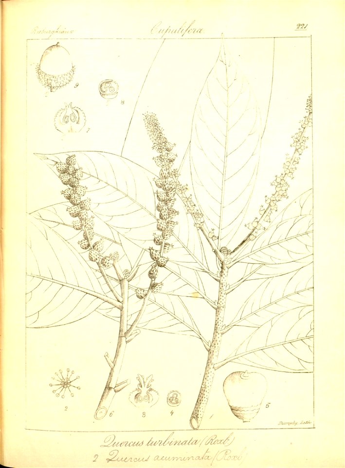 n253_w1150
